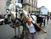 Catania